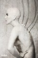 /album/robot/a24102012-ang8249-jpg/