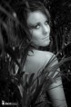 /album/djungel/marie-jungle-653-redigera-3-jpg/